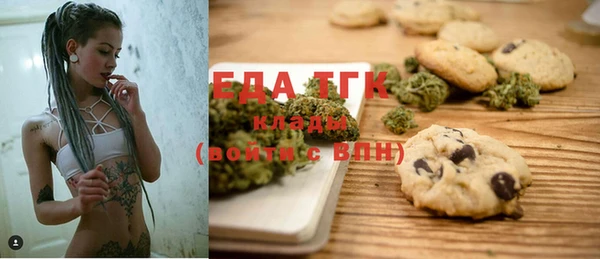 индика Зерноград